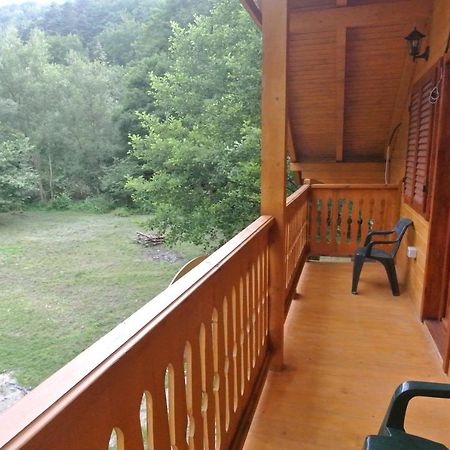 Chalet By The River Văliug Eksteriør bilde