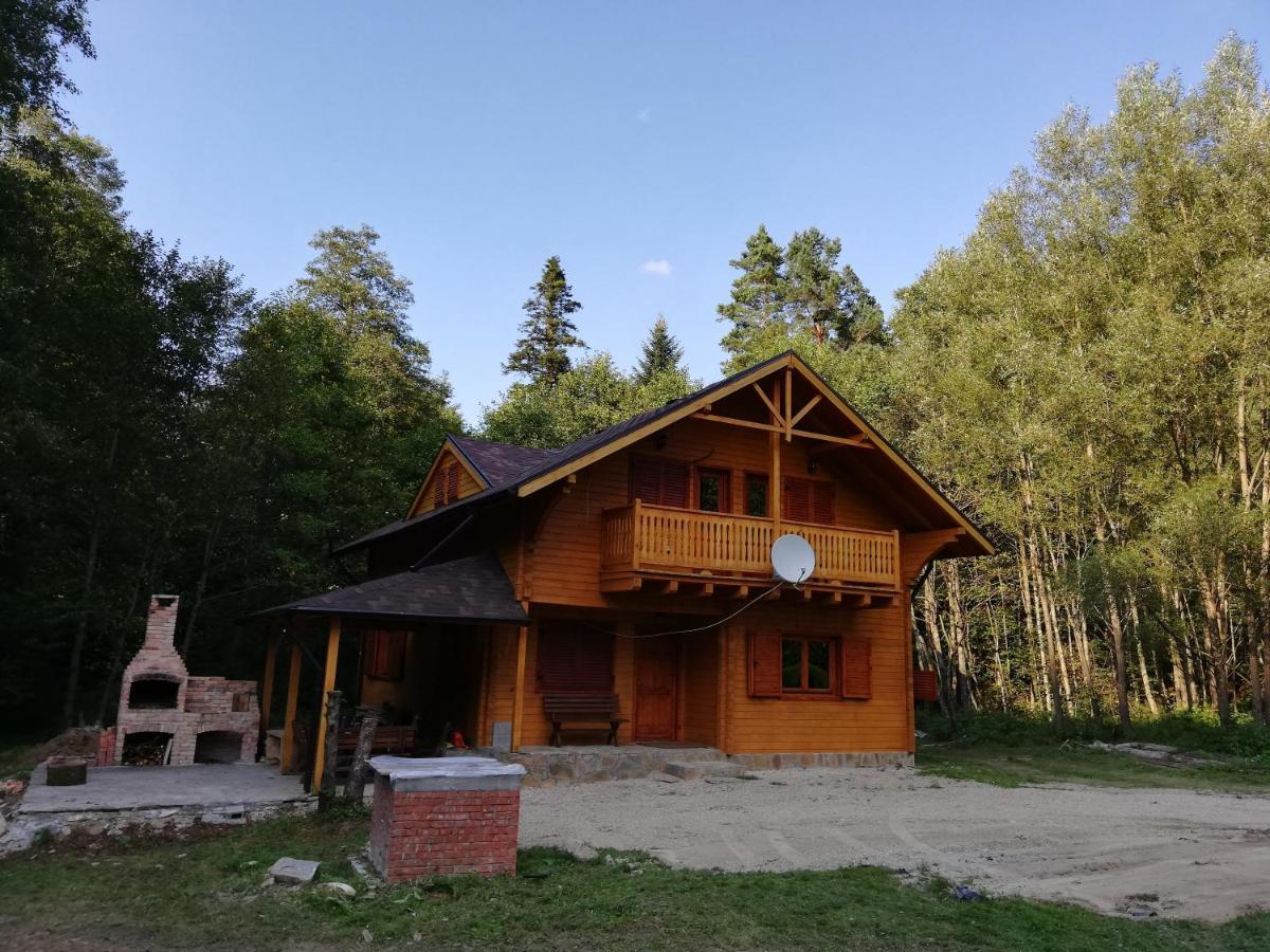Chalet By The River Văliug Eksteriør bilde