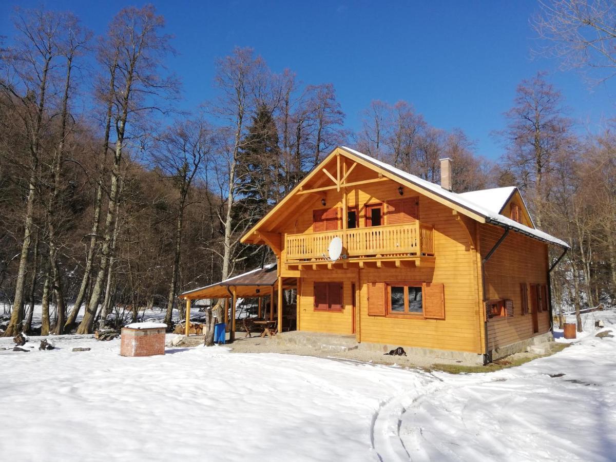 Chalet By The River Văliug Eksteriør bilde