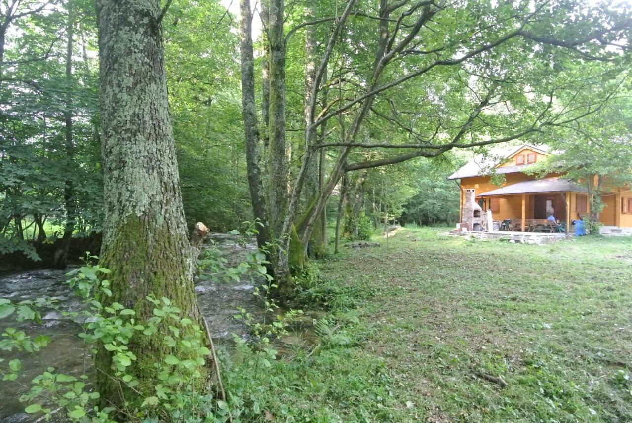 Chalet By The River Văliug Eksteriør bilde