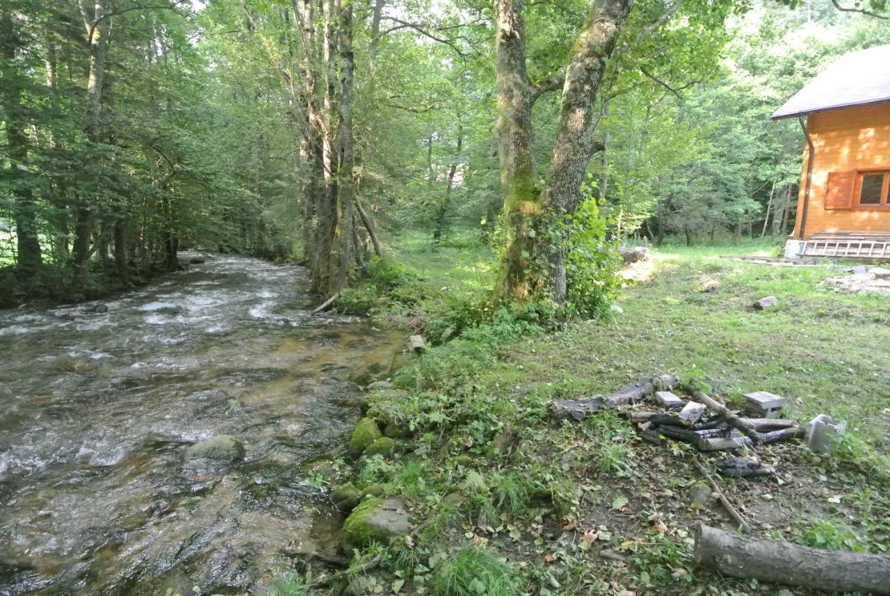 Chalet By The River Văliug Eksteriør bilde