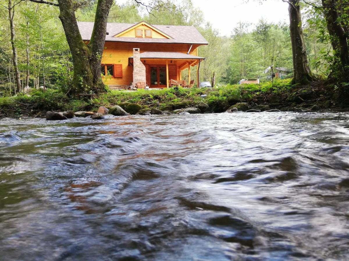 Chalet By The River Văliug Eksteriør bilde