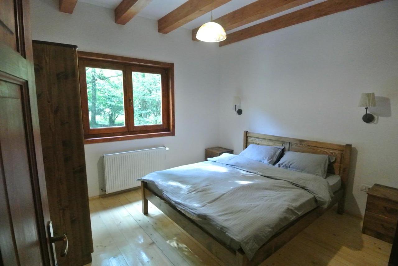 Chalet By The River Văliug Eksteriør bilde