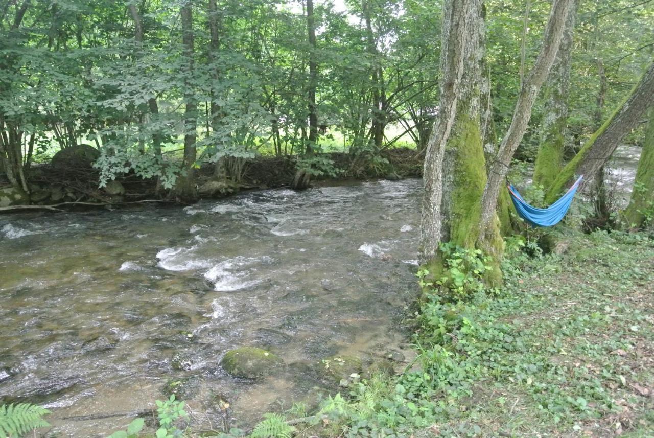 Chalet By The River Văliug Eksteriør bilde