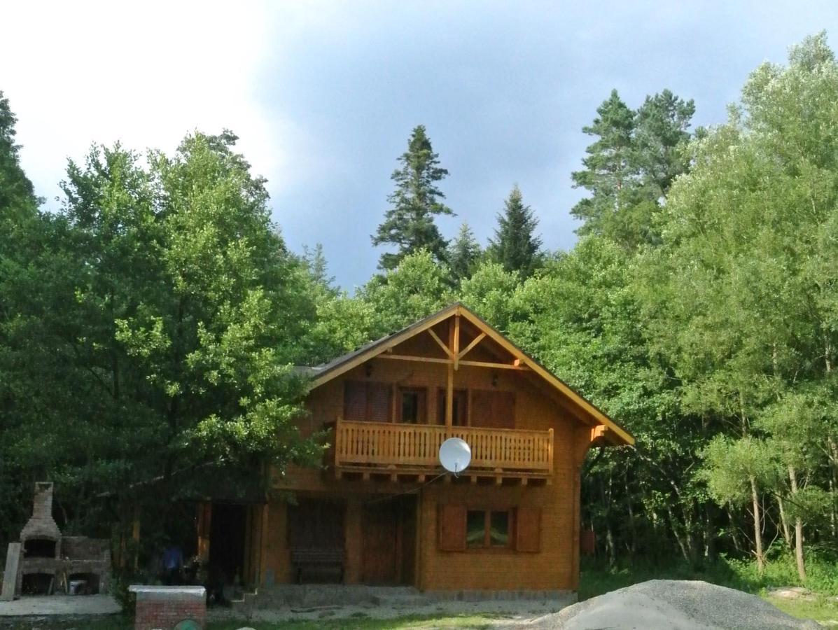 Chalet By The River Văliug Eksteriør bilde