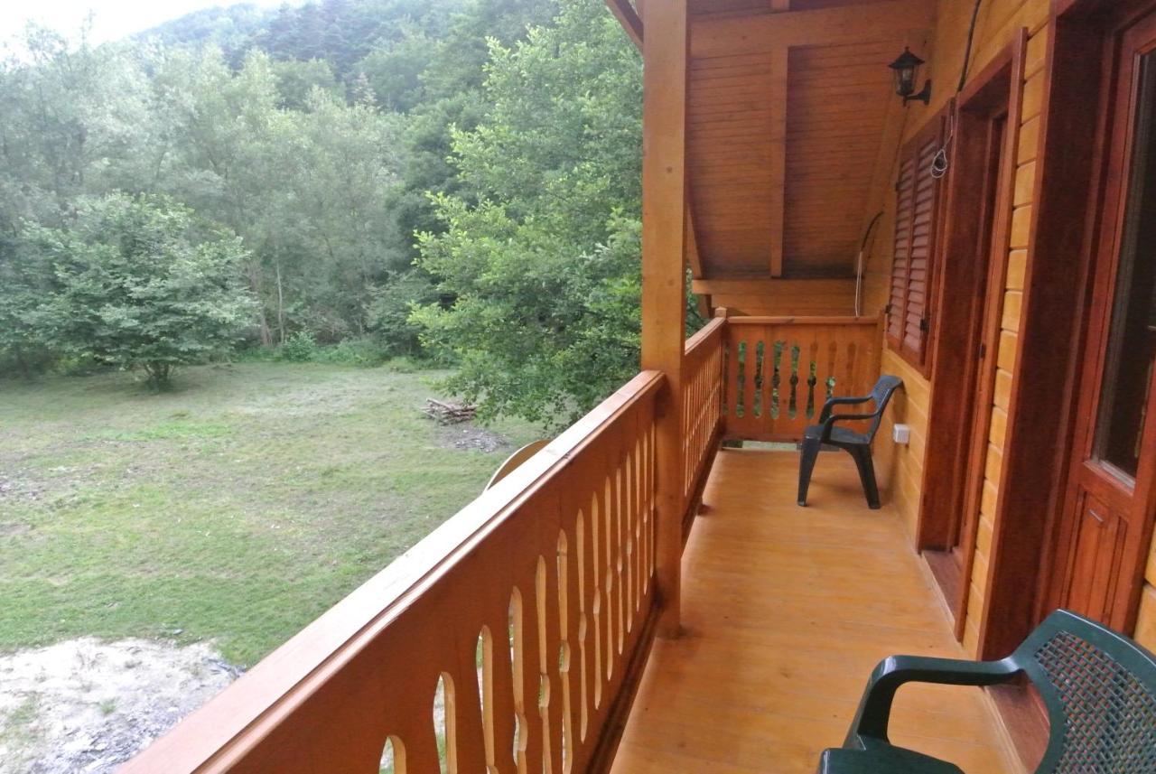 Chalet By The River Văliug Eksteriør bilde